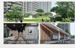 应要求开辟商出具正轨的收